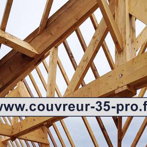 Travaux de charpente 35