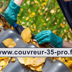 Travaux de nettoyage toiture 35