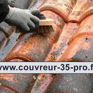 Travaux de nettoyage toiture 35