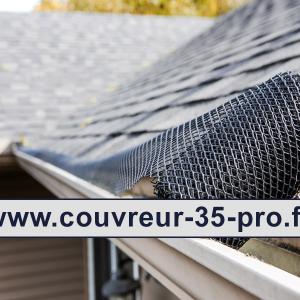 Travaux de nettoyage toiture 35